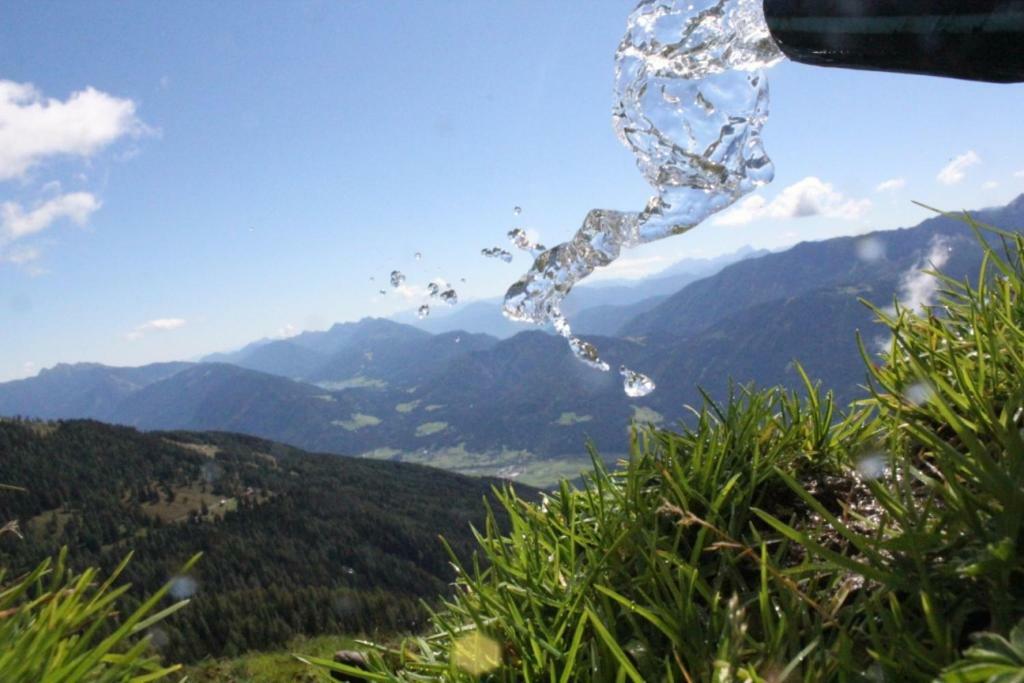 Eichenhof Villa Berg im Drautal Bagian luar foto